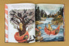 Christofoor Boek De Veer van de Vuurvogel