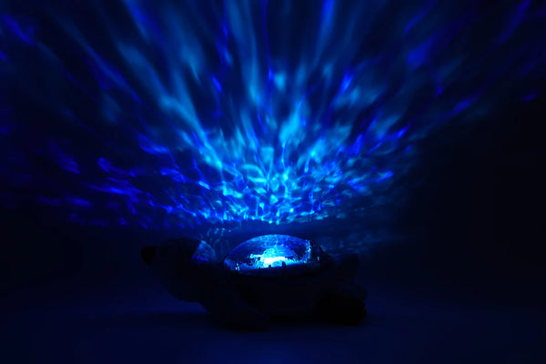 Blauwe Paddenstoel Lamp: Voeg Een Betoverende Tover aan Jouw Huis Toe Blauwe Paddenstoel Lamp: Voeg Een Betoverende Tover aan Jouw Huis Toe
