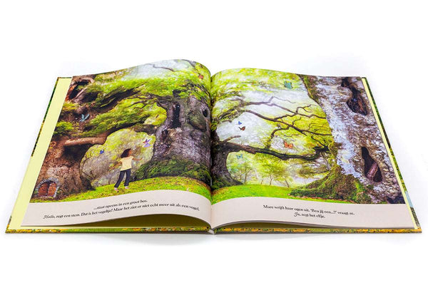 Christofoor Boek Het land achter de Elfdendeur