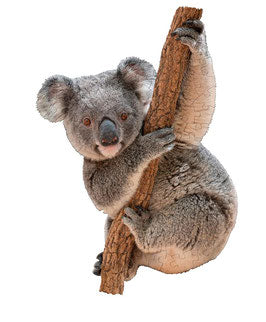 Madd Capp I Am Koala 100 Stukken - K-Deetje Oostkamp Brugge Duurzame Baby- en kinderwinkel